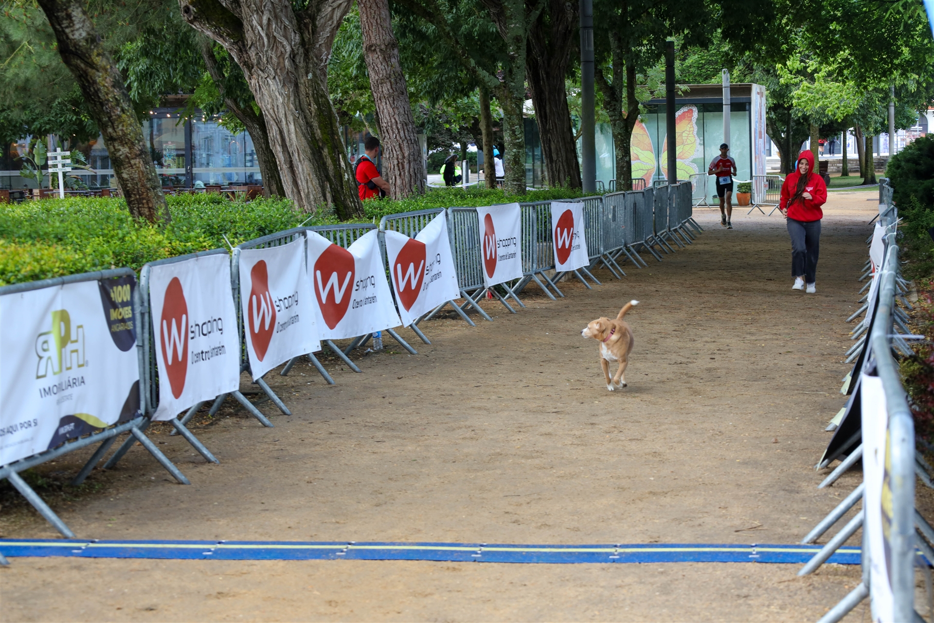 Eventos Patrocinados